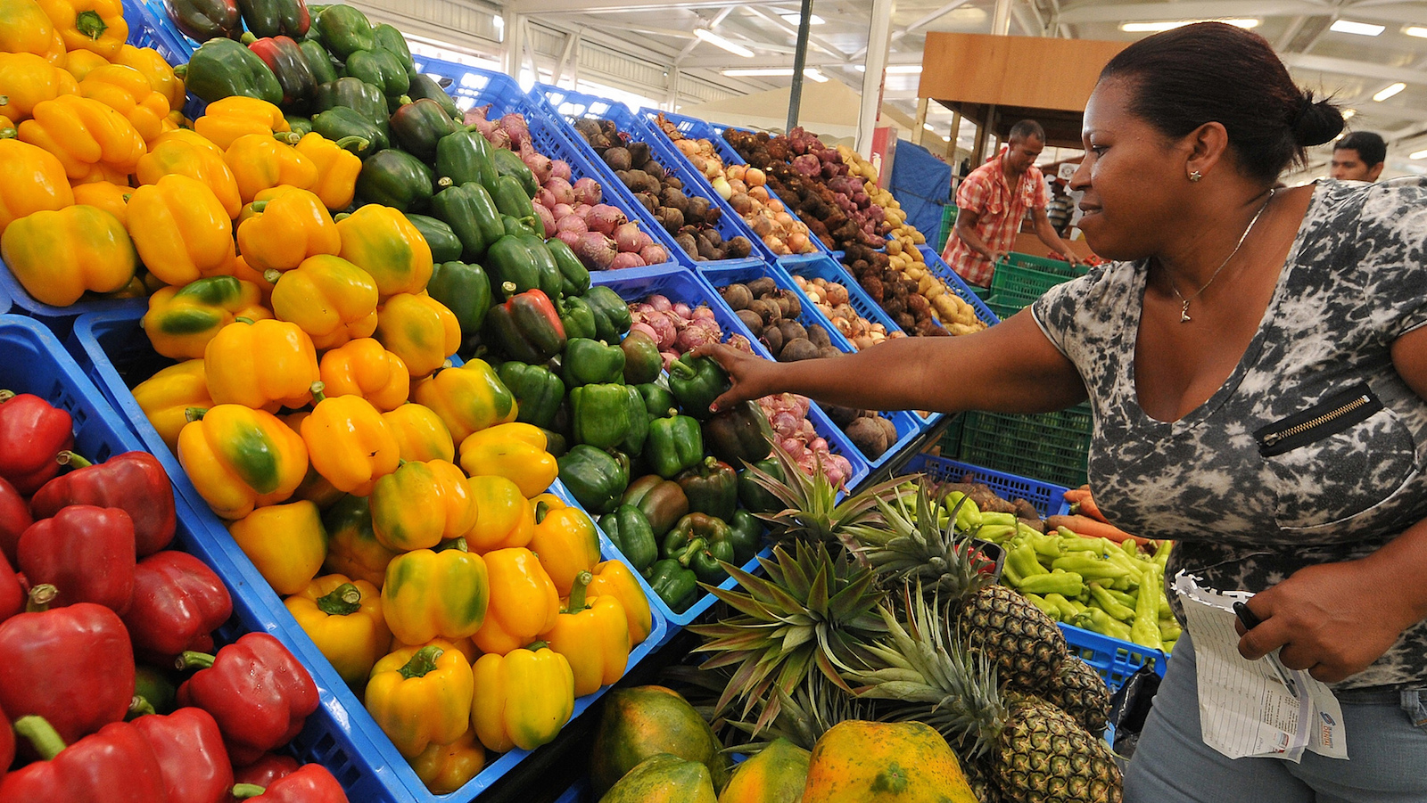 https://cdn.photonews.do/wp-content/uploads/2016/08/Merca-Santo-Domingo-productos-agricolas-May-16-2014.jpg